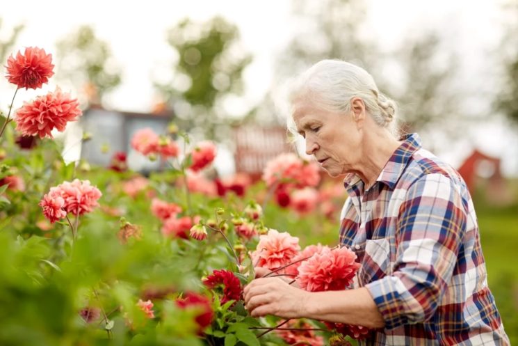 The differences between heart disease in women and men