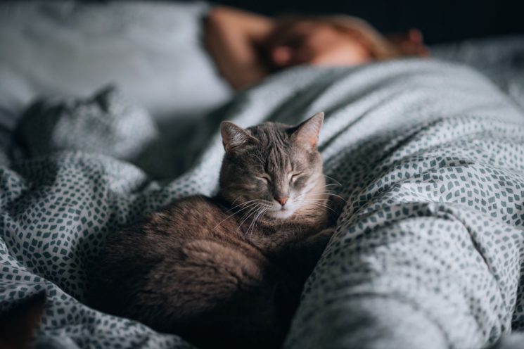 Picture of a woman sleeping with a cat next to her